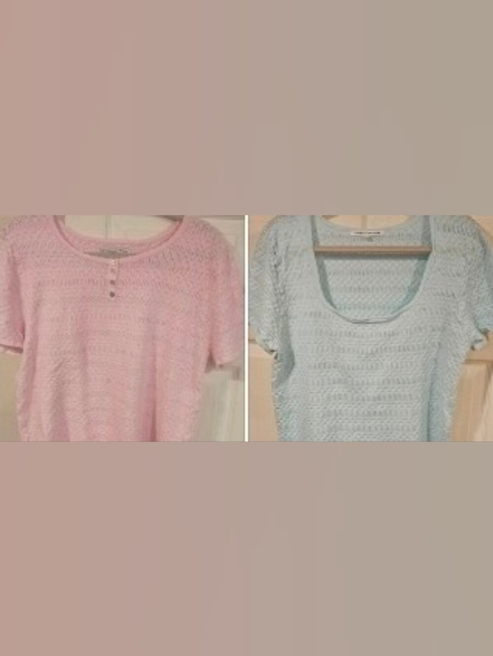 Celebrity Pink Set of 2 Short-Sleeve Crochet Tops in Light Pink and Light Blue